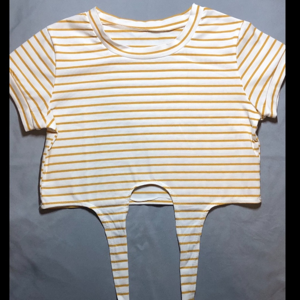 Gold Stripped White Crop Top Tee